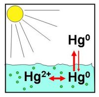 Hg-Symbol2.jpg