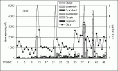 Abb. 1: Zusammensetzung der Phytoplankton-Biomasse (Säulendarstellung) und Chlorophyll a-Konzentration (Liniendarstellung)an der SeebrückeHeiligendamm im Jahre 2000(Schöpfproben von der Wasseroberfläche).