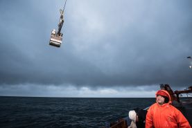 Kastengreifer im Einsatz