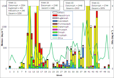 Fig. 1: Composition of the phytoplankton biomass and concentration of chlorophyll a from 5.1. to 21.12.2010 at sea-bridge Heiligendamm.