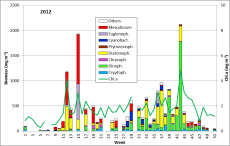 Abb. 1: Zusammensetzung der Phytoplankton-Biomasse und Konzentration des Chlorophyll a vom 3.1. bis 18.12.2012 an der Seebrücke Heiligendamm.