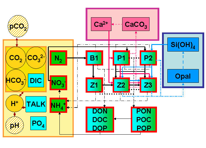 files/bio/ag-analyse-modellierung/BGC-Flowchartr.gif