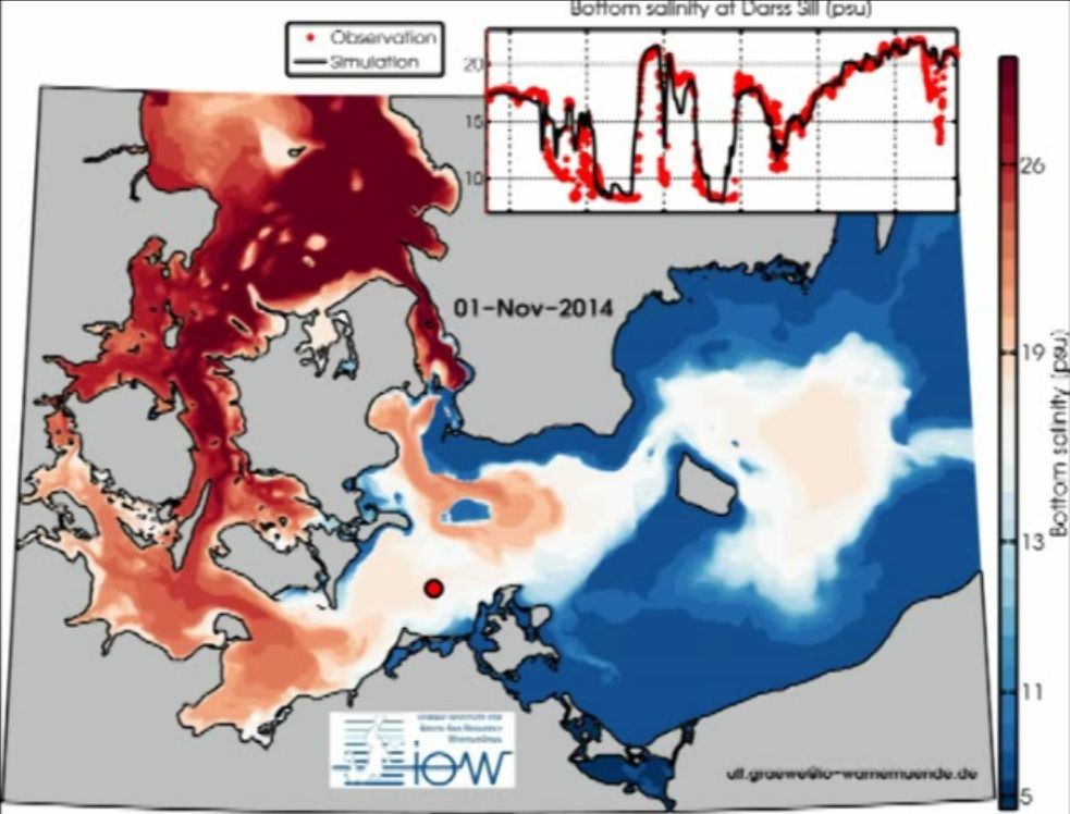 Computer simulation bottom salinity