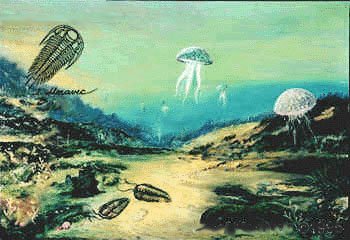 Szene aus dem ordovizischen Meer