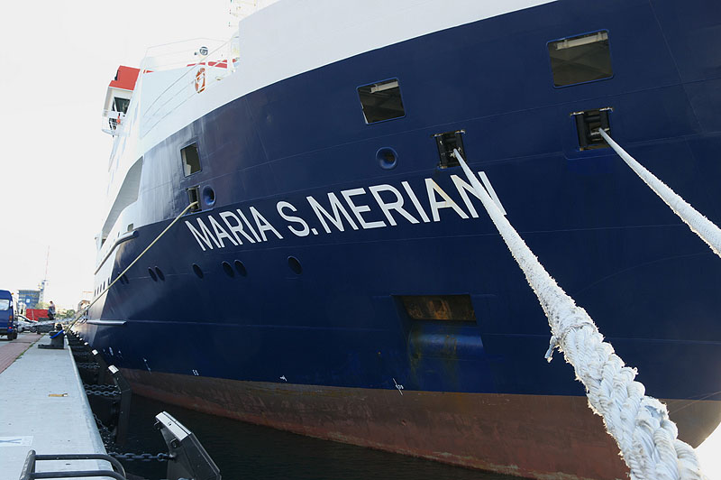 FS Maria S. Merian an der Pier