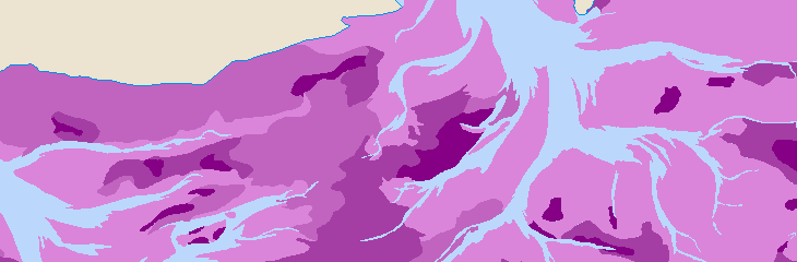 Areal distribution of microbial sulfate reduction rates in summer