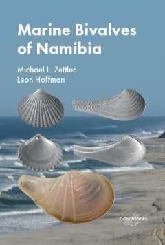 Book cover of Bivalves of Namibia