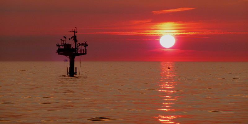 Teaser Warnemünder Abende 2025