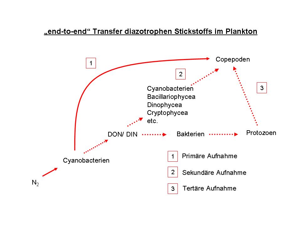 files/staff/loick/Fig1_deutsch.jpg